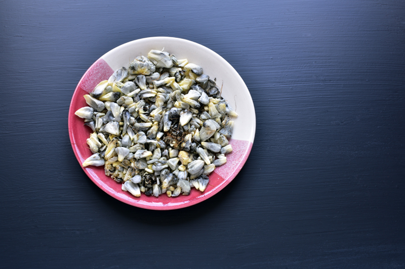 Huitlacoche Mexican Dish Unusual Mexican food