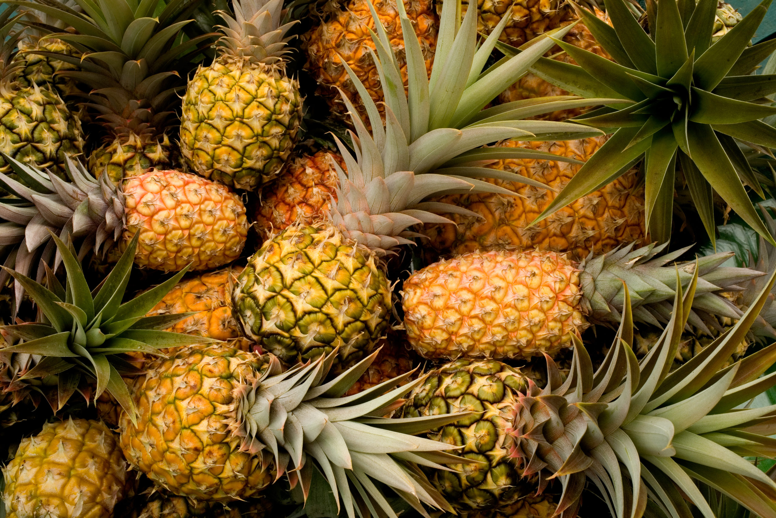 Fresh pineapples as a background Prepare Your Pineapple